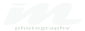Ingrid's Photography Logo